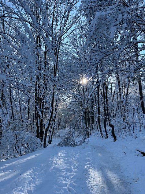 Snow days