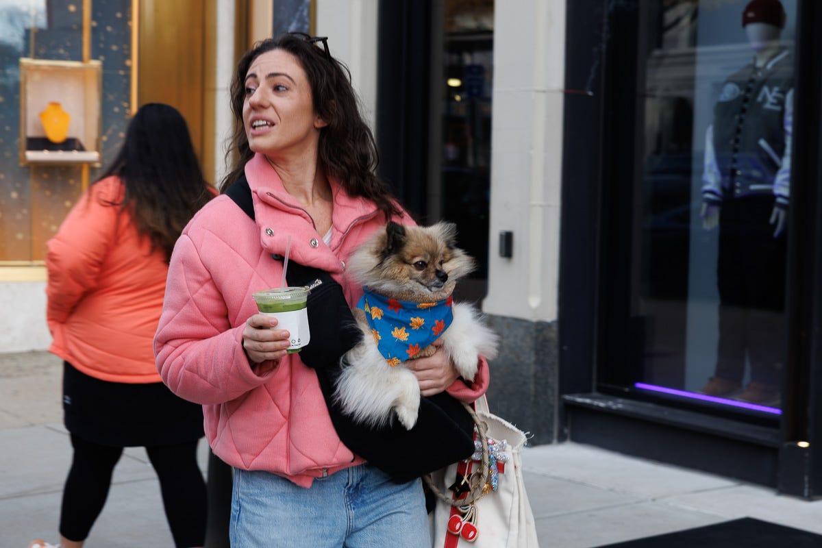 A woman in a pink jacket carries a small Pomeranian in a sling while walking past storefronts.