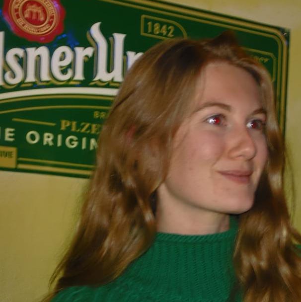 The Disfrutona Diaries