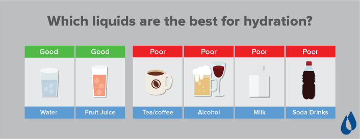 hydration and health fact 4