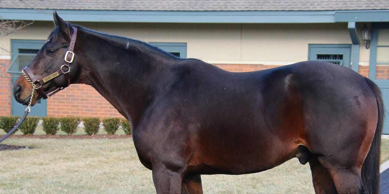 Housatonic Meanderings -- A Well-Bred Homebred is a Beautiful Thing