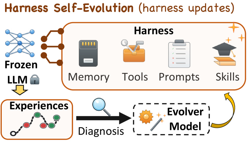 Disentangling Agent Self-Evolution