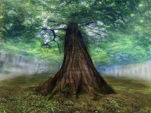Yggdrasil, the immense mythical tree that connects the nine worlds in Norse cosmology Yggdrasil, the immense mythical tree that connects the nine worlds in Norse cosmology