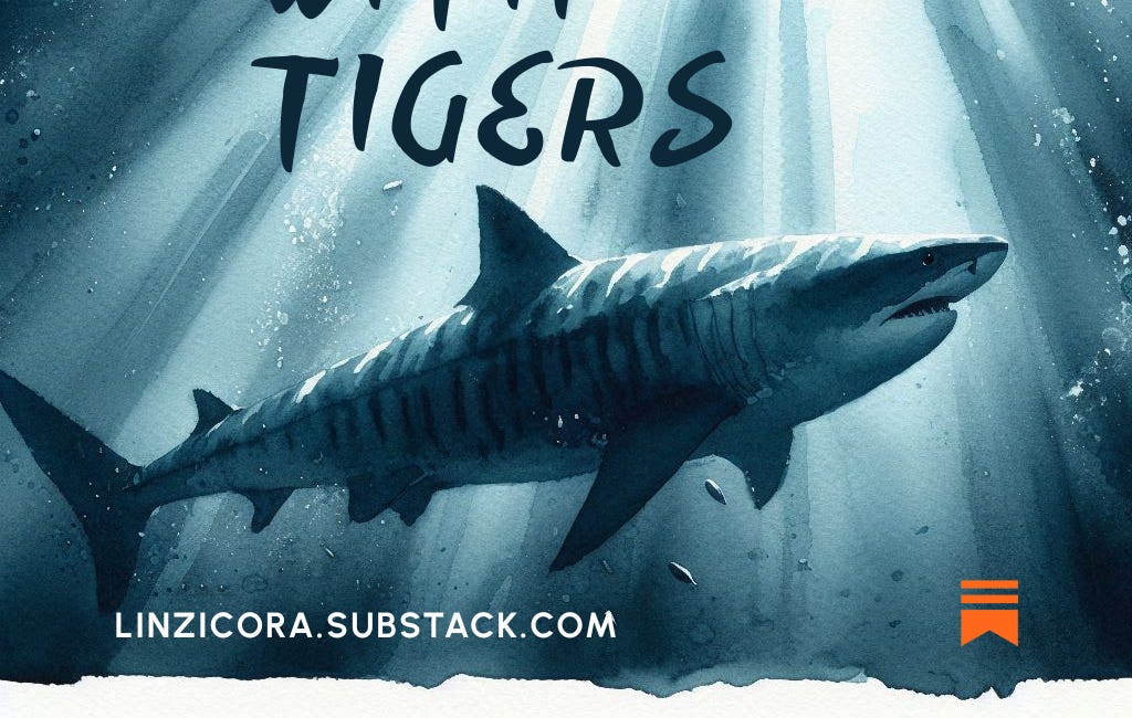 Diving With Tigers — Part 4