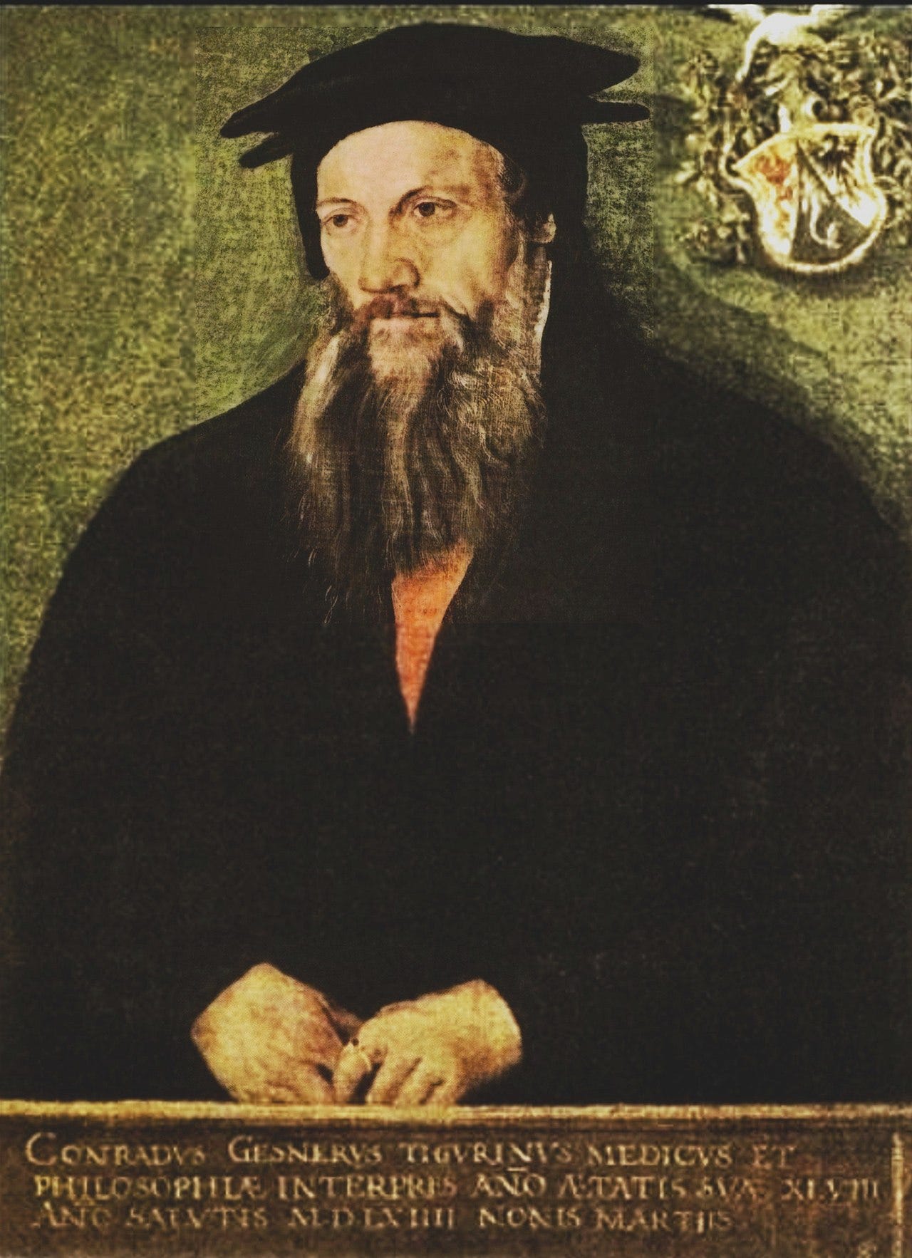 Conrad, el de la mirada perdida Conrad, el de la mirada perdida