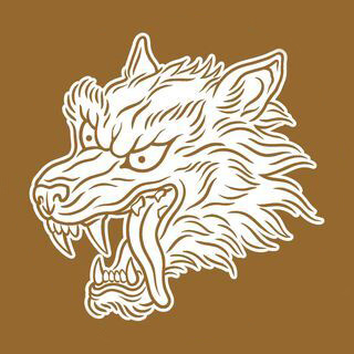 Substack profile picture for @roaming