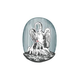 The Pelican Project’s Substack