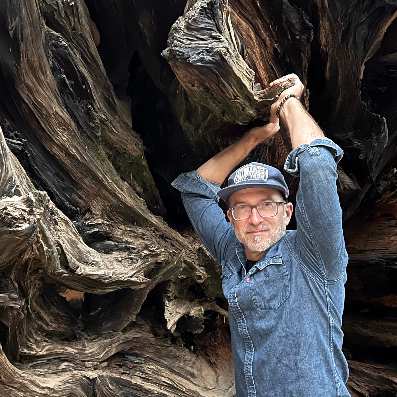 Language of Life: Integration across human and Earth systems