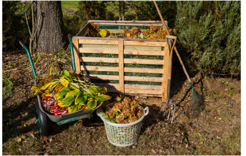 Large wooden compost bin with wheelbarrow and basket full or yard waste. A rake leans against the bin.