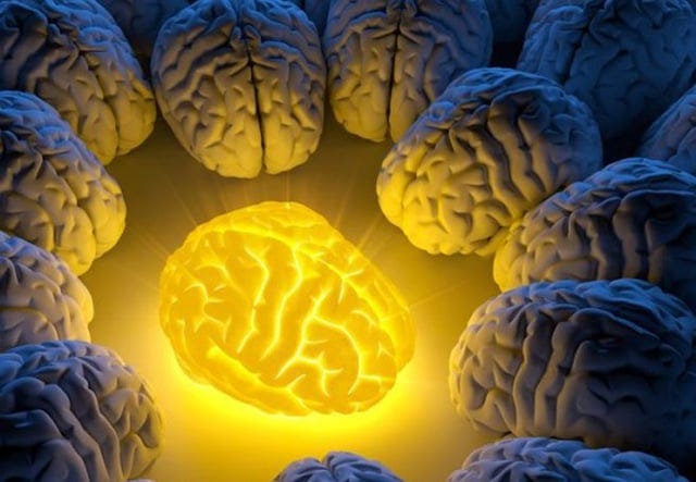 Science Links Anxiety To High IQ's & Sentinel Intelligence, Social Anxiety  To Very Rare Psychic Gift (x-post from /r/empaths) : r/hsp