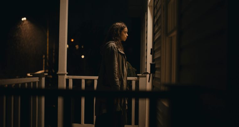 De horror in 'Barbarian' is misschien niet heel verfijnd, maar wel effectvol