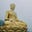 Phật Hoàng Trần Nhân Tông's avatar