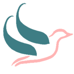 Coercive Control Freedom