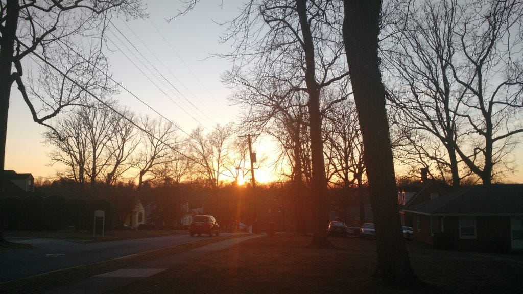 A scene just before sunset. Trees and powerlines line the street. A scene just before sunset. Trees and powerlines line the street.