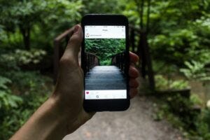 Person shooting an Instagram image in the woods