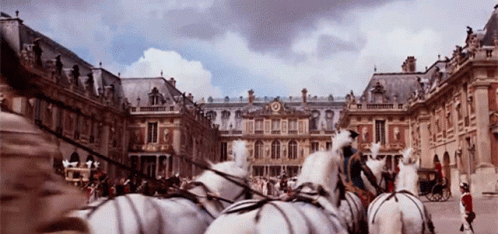 Royal Aesthetic GIF
