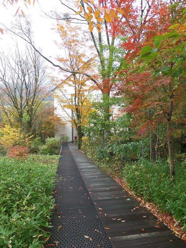 Lalique Museum Path Lalique Museum Path