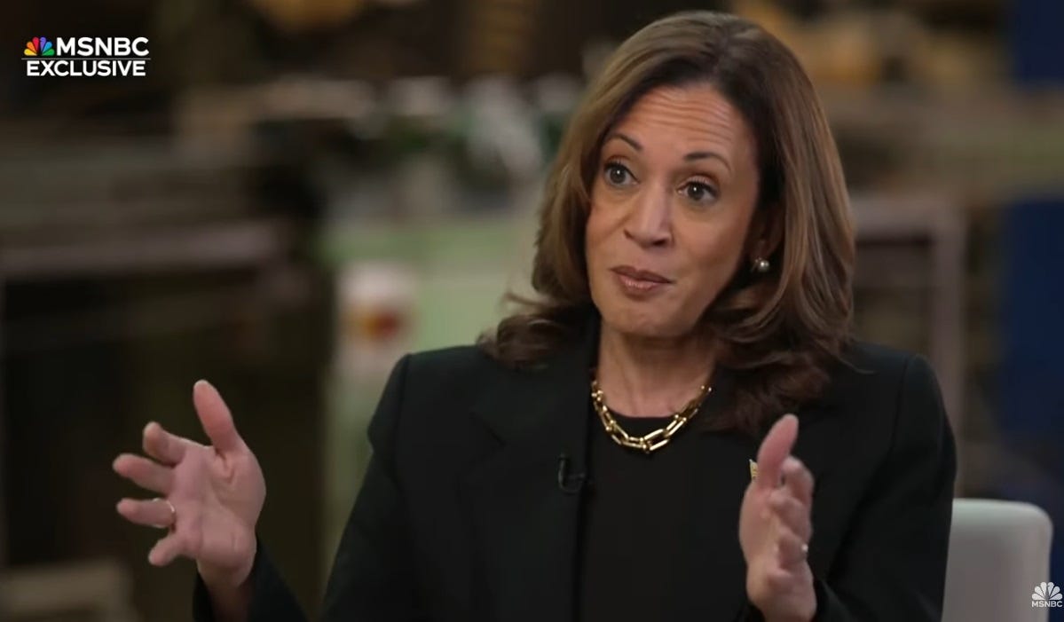 Kamala Harris gestures with her hands wide apart during a TV interview