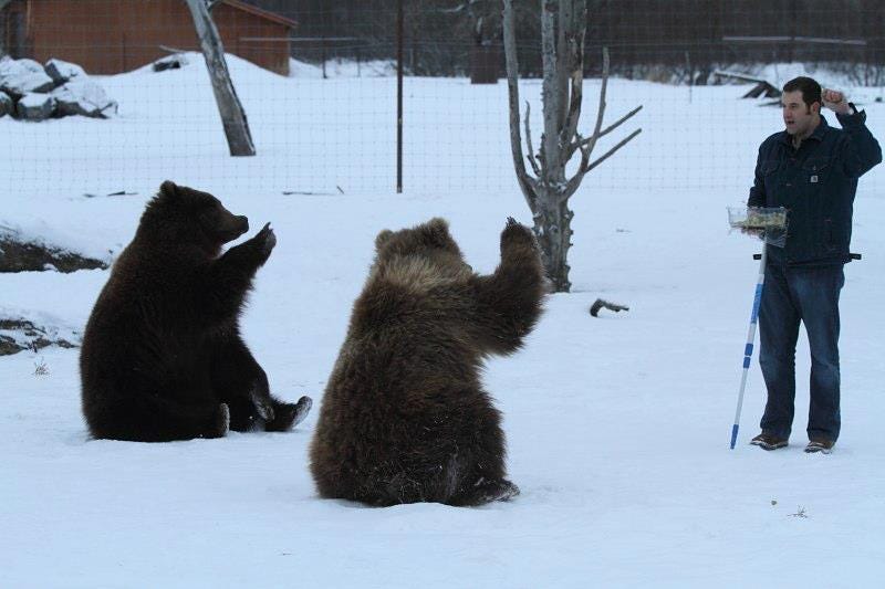 165846_3381220131401_1475779889_n