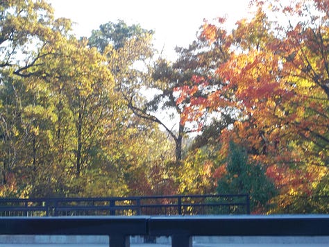 Your presence, smiles, words, food and beverages can bind others in gratitude - which breeds hope. 