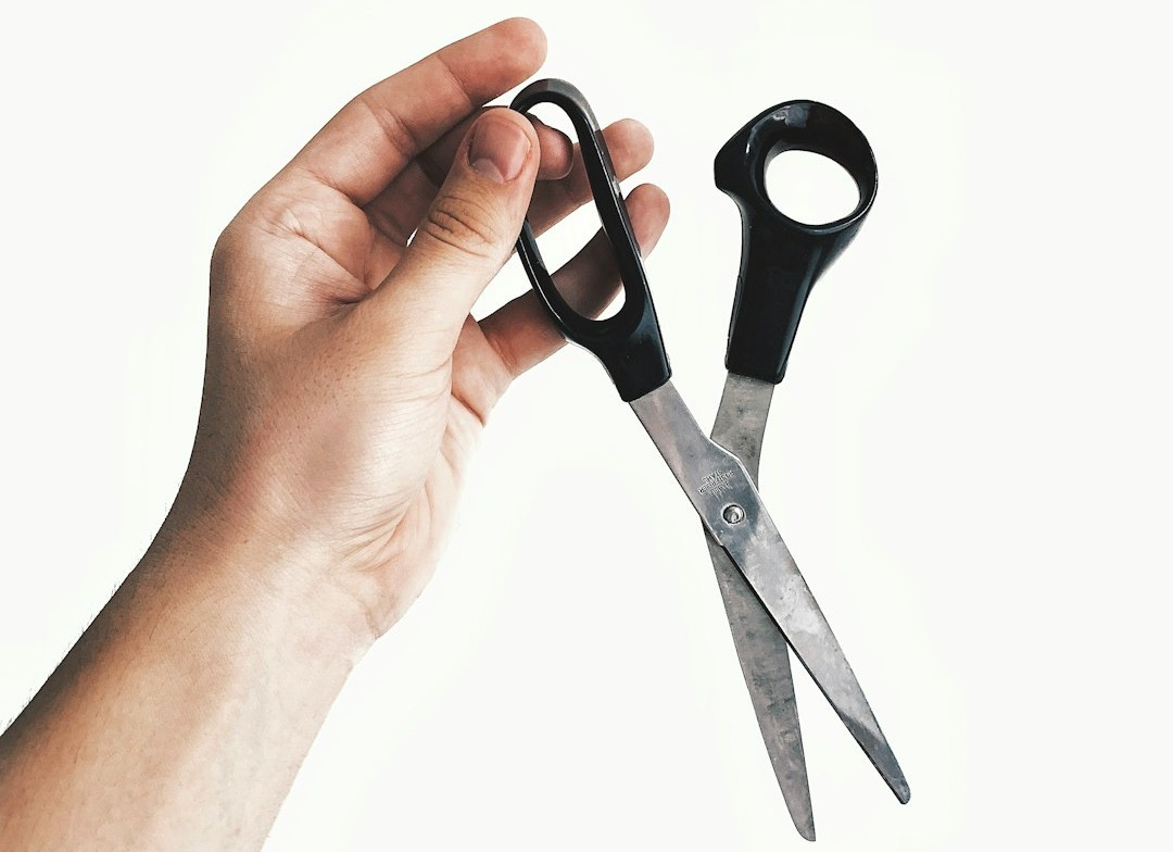 black handle scissors black handle scissors
