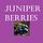 Juniper Berries
