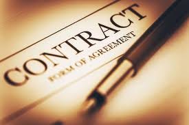 Indemnity Clauses in Website ...