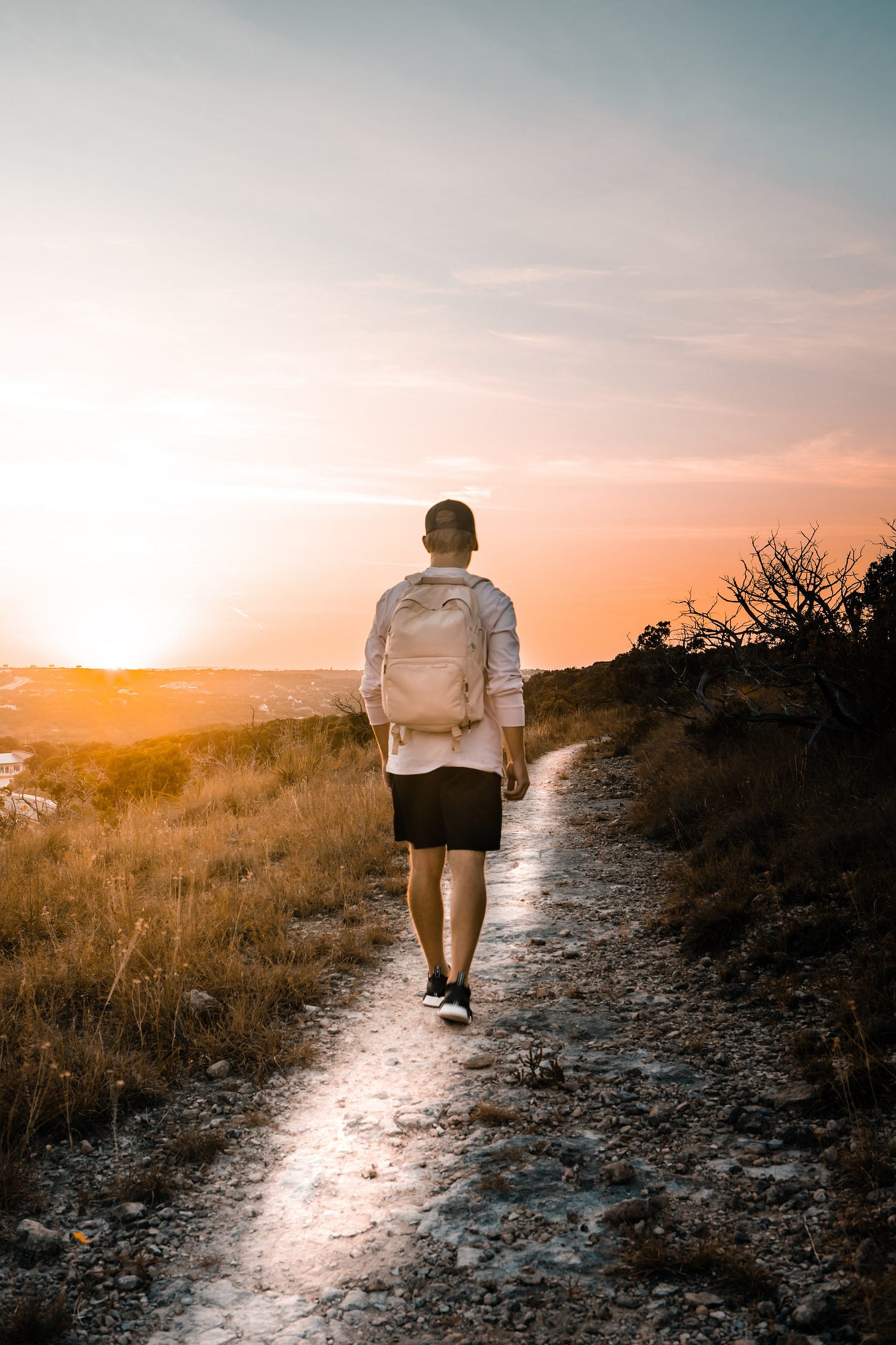 Four reasons why walking should be part of your fitness plan