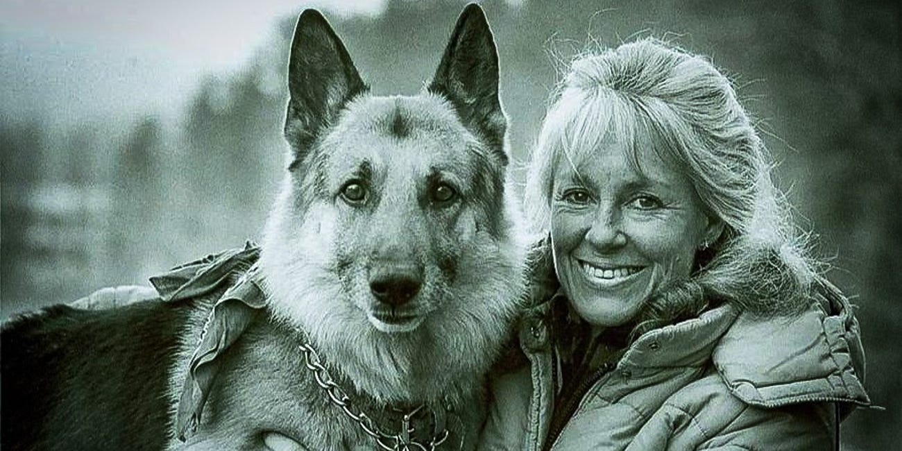 Woodswoman by Anne LaBastille: From ecologist to pioneer