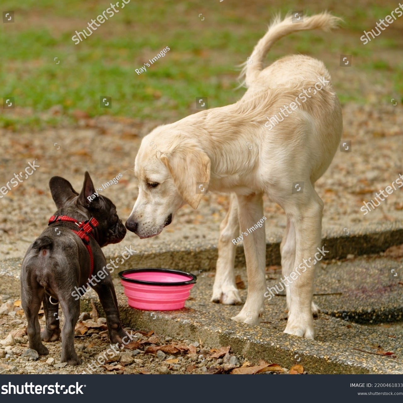 Befriending Ourselves