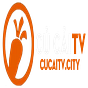 cucaitv city's avatar