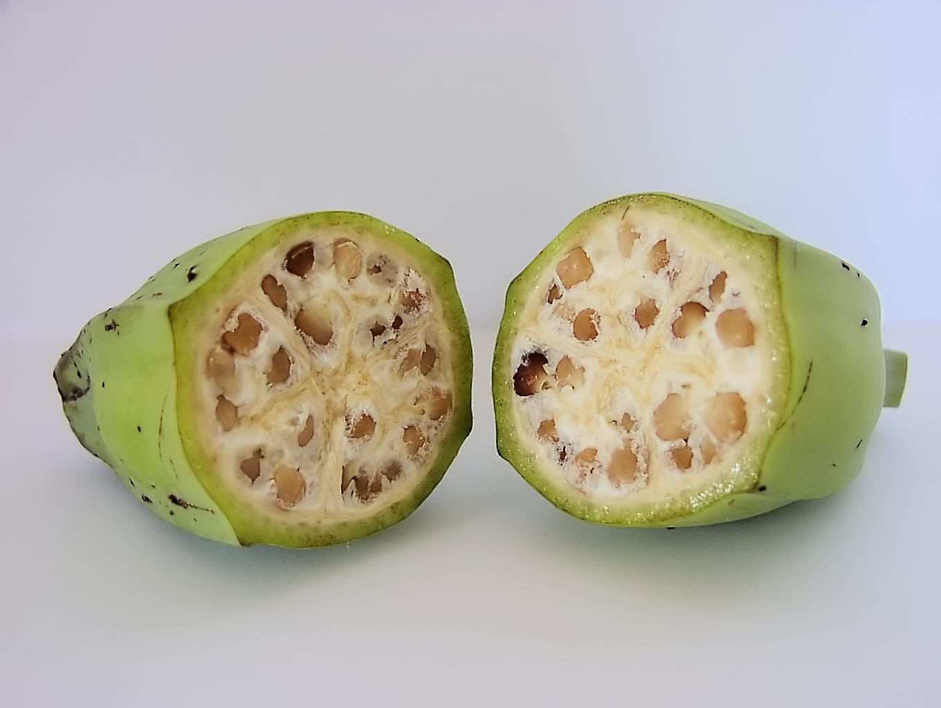 Wild banana. Via Wikipedia