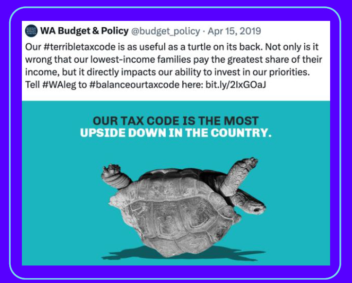 An image of an upside down turtle. From a social media post from the WA Budget and Policy. It says "Our tax code is the most upside down in the country."