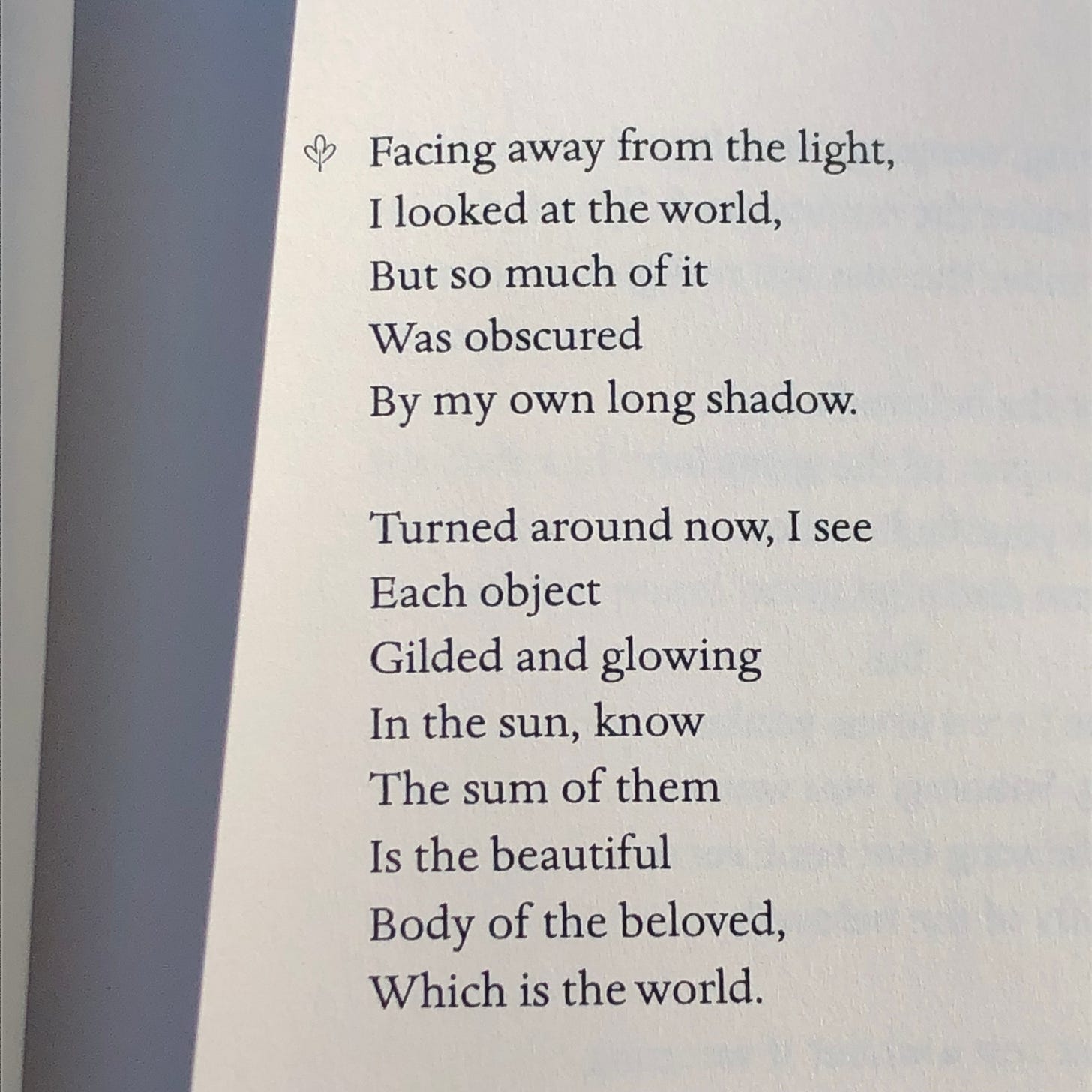 A poem: Facing away from the light, I looked at the world, but so much of it was obscured by my own long shadow. Turned around now, I see each object gilded and glowing in the sun, know the sum of them is the beautiful body of the beloved, which is the world. A poem: Facing away from the light, I looked at the world, but so much of it was obscured by my own long shadow. Turned around now, I see each object gilded and glowing in the sun, know the sum of them is the beautiful body of the beloved, which is the world.