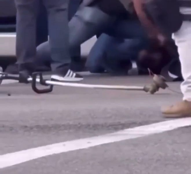 A masked anti-ICE terrorist used a WEED WHACKER to attack an ICE agent.