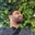 Yussuf Sameh's avatar
