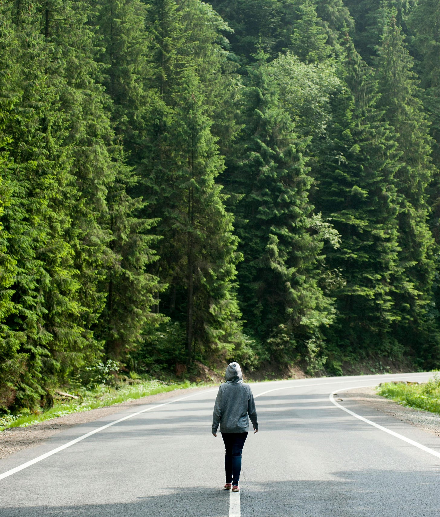 Person Walking on Road Near Trees by Atlantic Ambience Person Walking on Road Near Trees by Atlantic Ambience