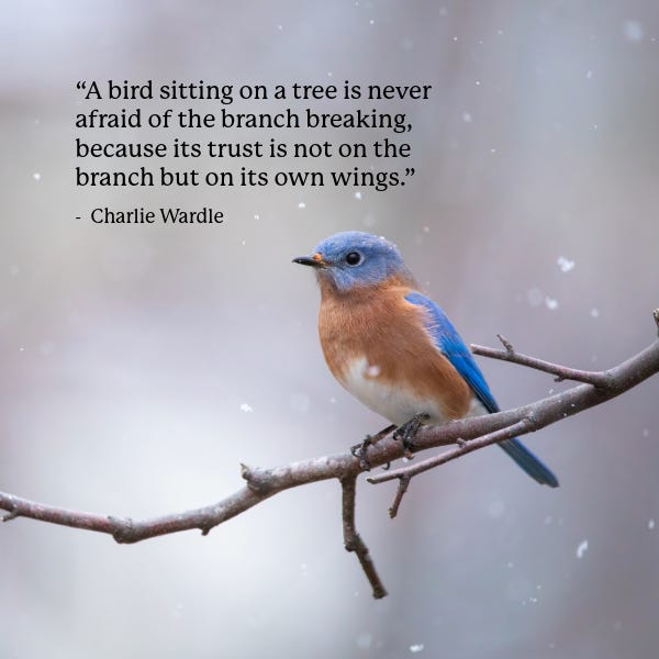a blue, brown and white bird sits a branch with the Charles Wardle quote from the article above it. 