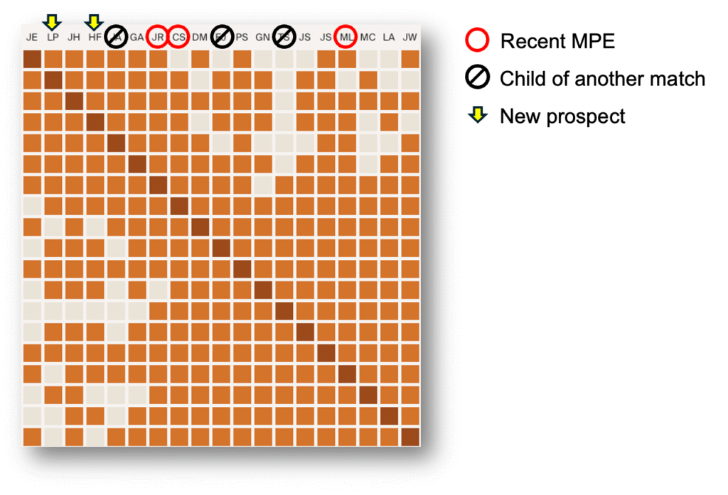 Custom cluster generated by AncestryDNA.