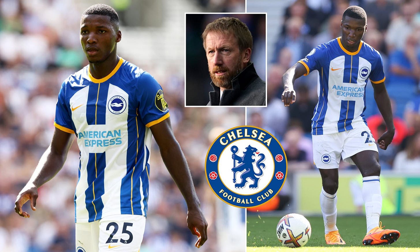 Brighton 'to offer Moises Caicedo pay rise' amid fears midfielder could  follow Potter to Chelsea | Daily Mail Online