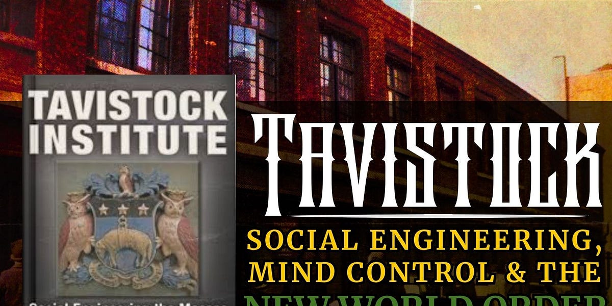 Image for Social Engineering: Tavistock & Mind Control [Daniel Estulin]