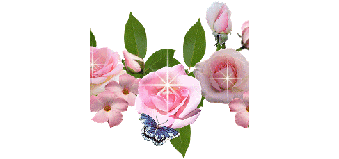 La realidad está embrujada 