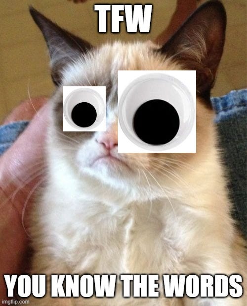 TFW You Know the Words, (Grumpy cat with googly eyes poorly photoshopped on top)