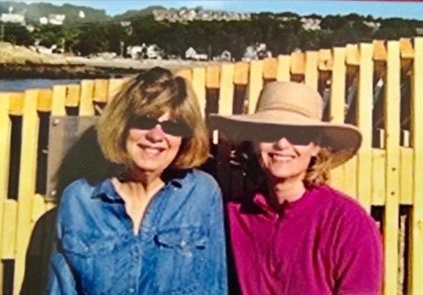 Photo of two women sitting in front of a fence smiling with sunglasses on. they are friends