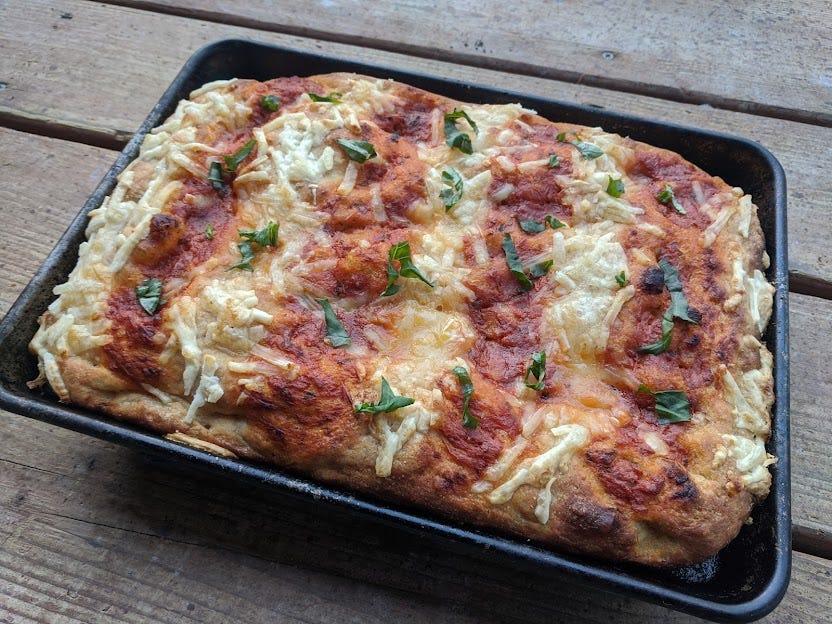 a tray of sourdough pizza with rows of tomato sauce, mozz. and basil