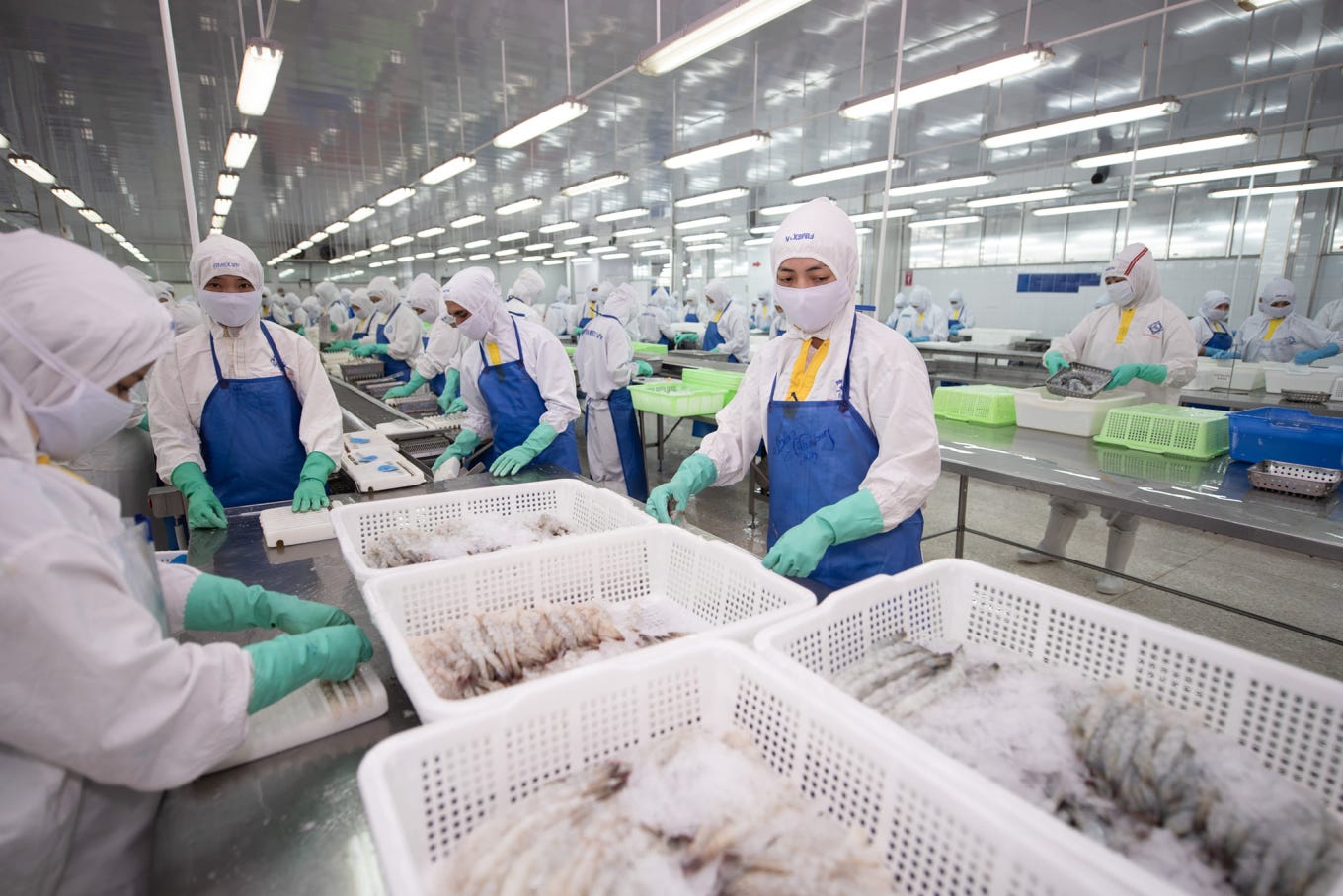 Một doanh nghiệp tôm tốn gần 200 tỷ đồng đóng thuế đối ứng - Báo VnExpress  Kinh doanh