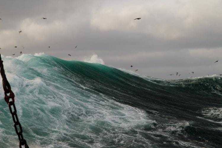 Blog_Free-Time-is-Dream-Time_sea-swell.jpg Blog_Free-Time-is-Dream-Time_sea-swell.jpg