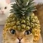 pineappletoothpaste's avatar