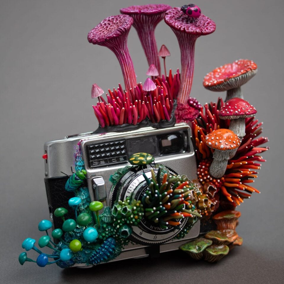 a sculpture by Stéphanie Kilgast of colorful mushrooms growing out of an old camera