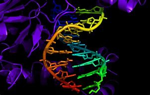 Image result for dna helix color